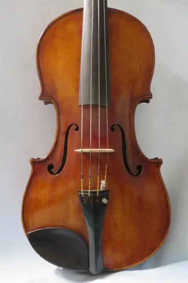 Jaroslaw Dvorak 1891 Plague