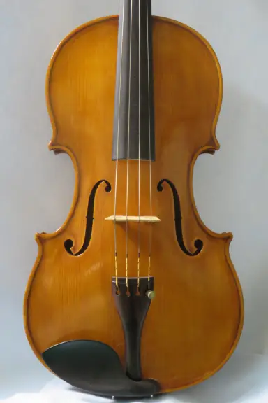Strumento a Corda, Studio Firenze 1991